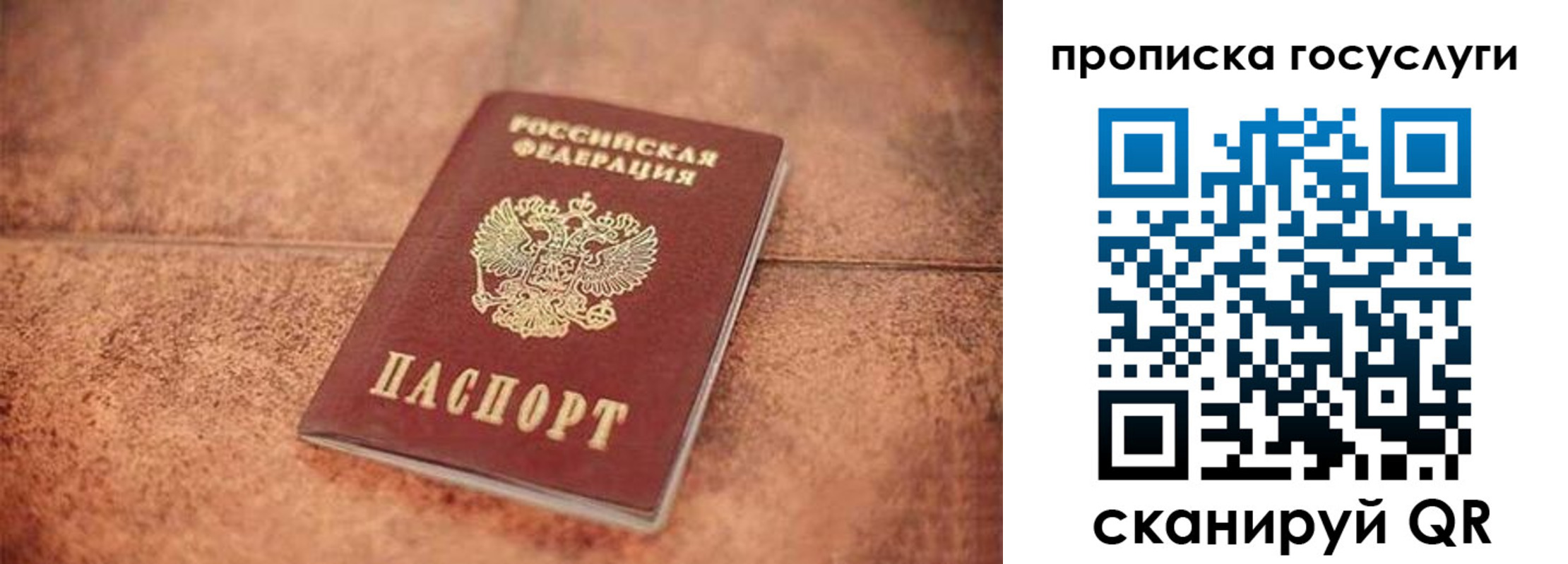 прописка законно в Дрезне